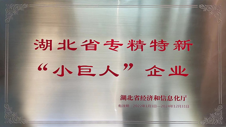 湖北省專精特新小巨人.jpg 湖北省專精特新小巨人.jpg