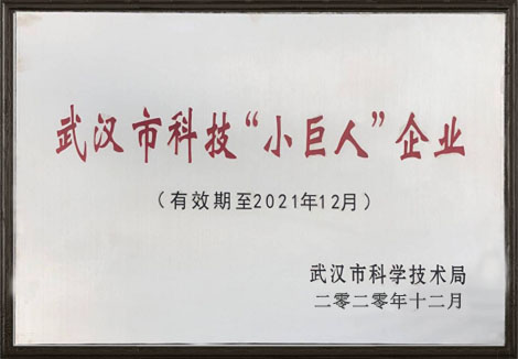 熱烈祝賀武漢仕全興榮獲2020年東西湖區科技“小巨人”企業稱號